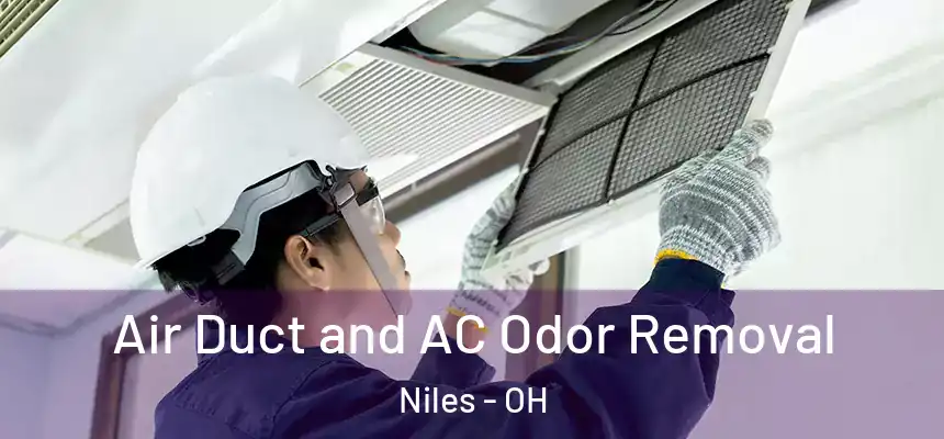  Air Duct and AC Odor Removal Niles - OH