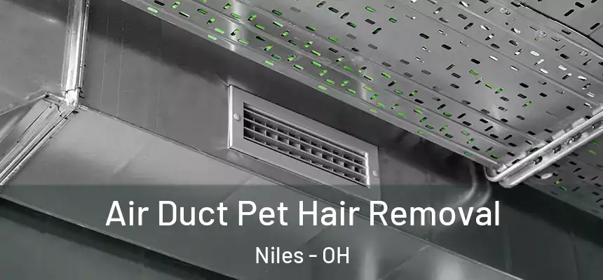  Air Duct Pet Hair Removal Niles - OH