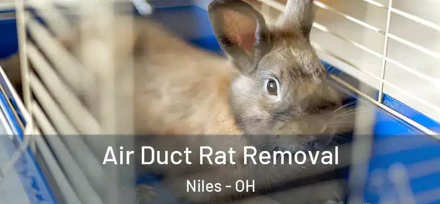  Air Duct Rat Removal Niles - OH