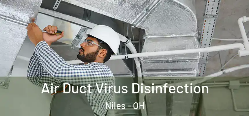 Air Duct Virus Disinfection Niles - OH