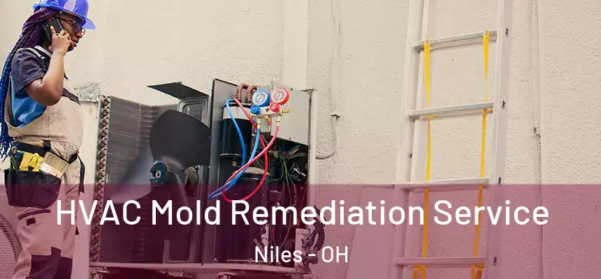  HVAC Mold Remediation Service Niles - OH