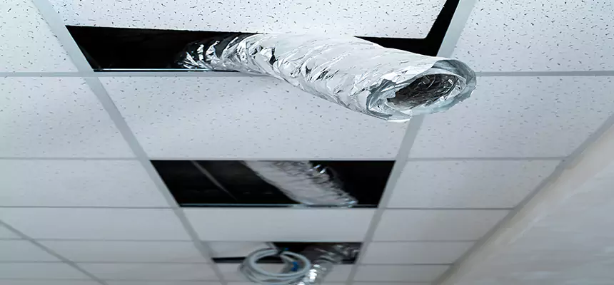 Our Air Duct Pet Hair Removal Services in Niles, OH