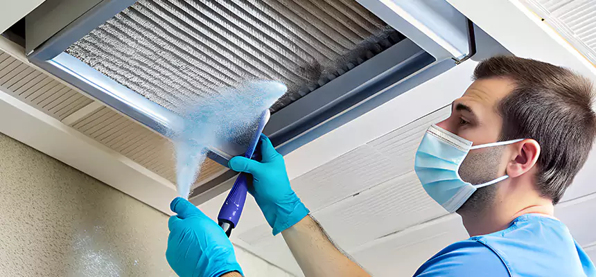 Proactive Dryer Vent & Auxiliary Duct Pollen Cleanup in Niles, OH