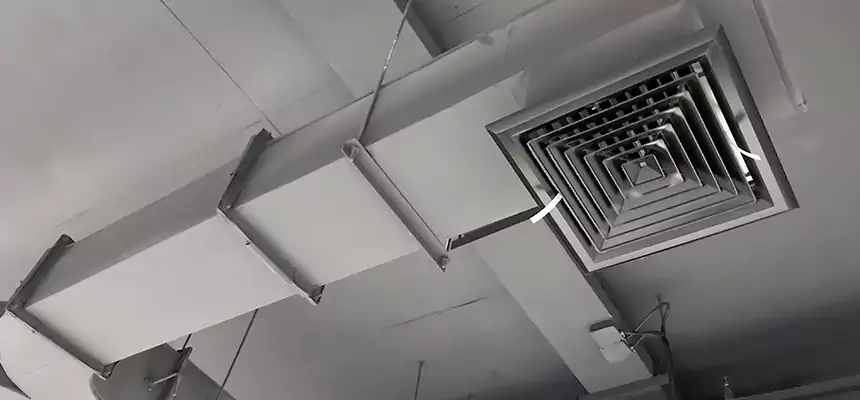 Restorative Allergy Relief Vent Cleaning – Coil, Blower & Housing Detail in Niles