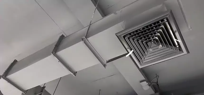 Our Pest Removal From Ducts Services in Niles, OH