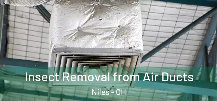  Insect Removal from Air Ducts Niles - OH