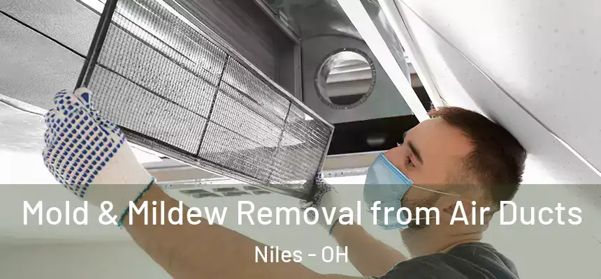 Mold & Mildew Removal from Air Ducts Niles - OH