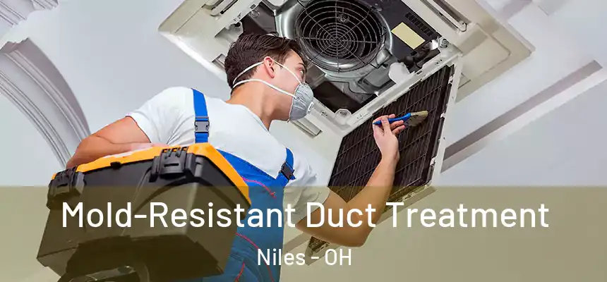 Mold-Resistant Duct Treatment Niles - OH