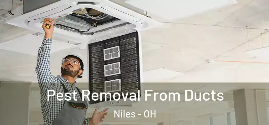  Pest Removal From Ducts Niles - OH