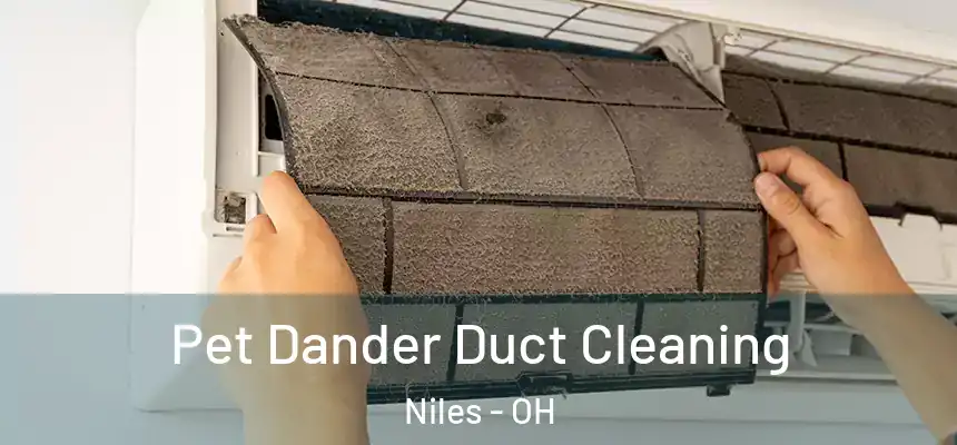  Pet Dander Duct Cleaning Niles - OH