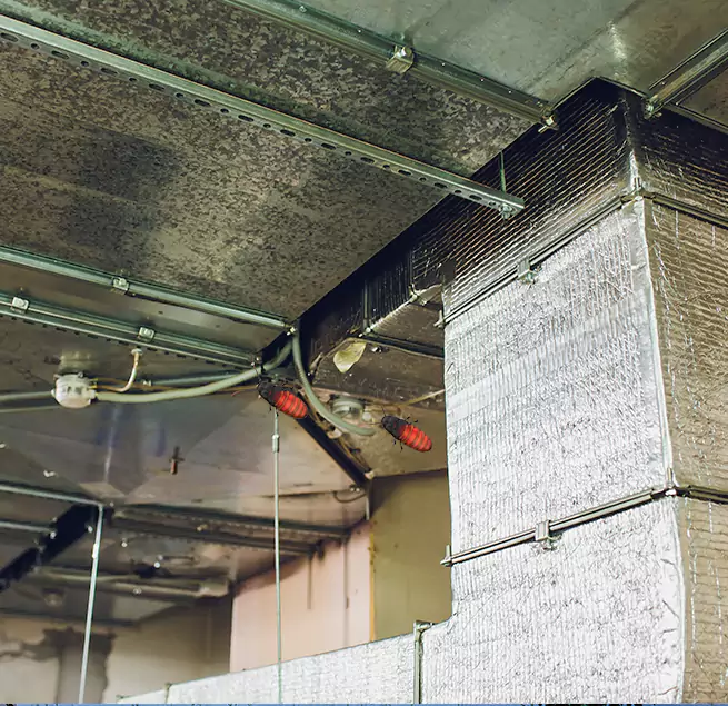 Why Homeowners & Businesses Trust Us in Niles, OH?